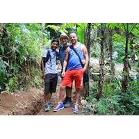 Full-Day Trekking and Sightseeing Tour from Ubud