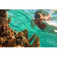 full day snorkeling adventure from cancun and riviera maya
