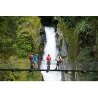 full day milford sound walk and cruise including scenic flights from q ...