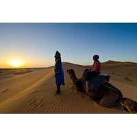 Full-Day Merzouga Desert Private Tour from Errachidia