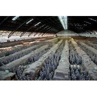 Full-Day Tour of the Terracotta Warriors and Banpo Neolithic Village from Xi\'an