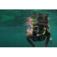 full day pulau payar snorkeling tour from langkawi