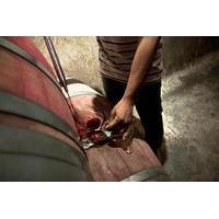 Full-Day Wine Tasting in Mendoza