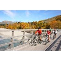 Full-Day Bike Tour of Queenstown Trails