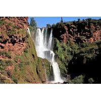 Full-Day Trip from Marrakech to Ouzoud Waterfalls
