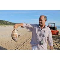 Full-Day Tour from Lisbon with Traditional Fisherman\'s Lunch in Setúbal