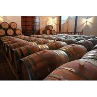 Full-Day Wineries Tour from Santiago