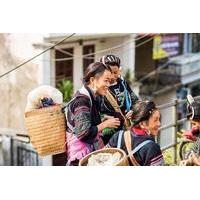 Full-Day Bac Ha Cultural and Market Tour from Sapa