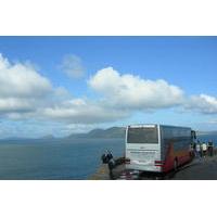 Full Day Dingle and Slea Head Tour