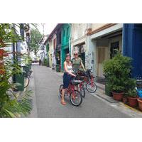 full day bike and food tour from singapore
