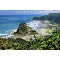 full day piha and waitakere eco tour including lunch from auckland