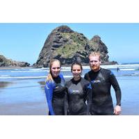 full day piha and waitakere eco tour with surf lesson from auckland