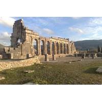 Full-Day Volubilis and Meknes Private Tour from Fez