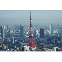 full day private custom chartered taxi tour of tokyo