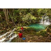 Full-Day Waterfall Expedition at Mayflower Bocawina National Park