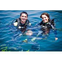 Full-Day Diving for Beginners at Coiba National Park