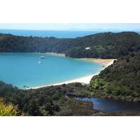 full day abel tasman national park hiking tour with cruise