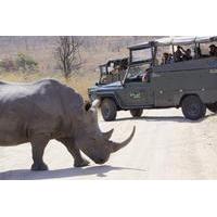 Full-Day Kruger Park Open Vehicle Safari from Hazyview