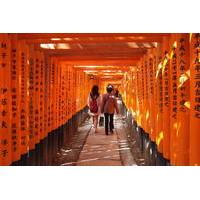 Fushimi Inari and Sake Brewery Tour