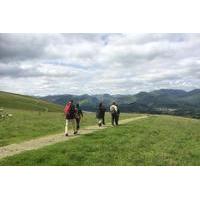 Full-Day Private Tour and Hike in the Lake District