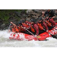 Full-Day Whitewater Rafting on Kicking Horse River