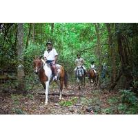 Full-day Horse Riding and ATV Tour from Cairns