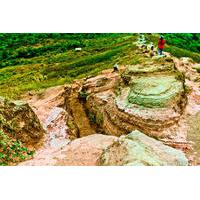 Full-Day Taal Trekking Shared Trip from Manila
