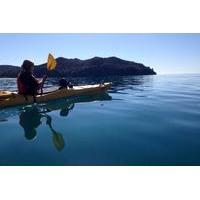 full day abel tasman relaxed or late riser kayaking