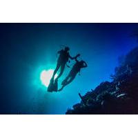 Full-Day Scuba Diving Catalina Island Tour from Bavaro