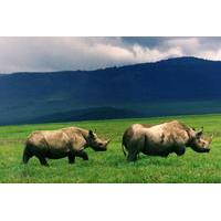 Full-Day Day Trip to Ngorongoro Crater From Arusha Town