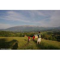 full day private walking tour in the carpathian villages from buchares ...