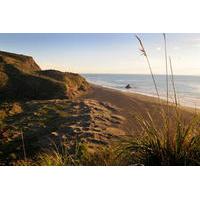 Full-Day Wild West Coast Photo and Discovery Tour including Lunch from Auckland