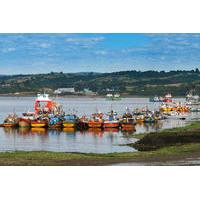 Full-Day Tour: Chiloe Istand Including Ancud, Castro and Dalcahue from Puerto Varas