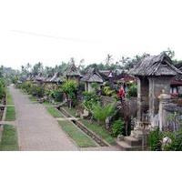 Full Day Kintamani and Penglipuran Village Private Chartered Car Tour from Bali