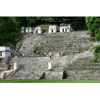 Full-Day Tour of Bonampak and Yaxchilán with Lunch