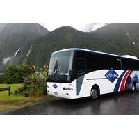 Full-Day Luxury Milford Sound Tour by Coach and Cruise from Queenstown