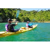 Full-Day Guided Sea Kayak Trip from Picton