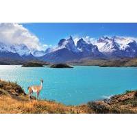 Full-Day Tour of Torres del Paine National Park from Puerto Natales
