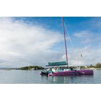 Full Day Catamaran Cruise on the Harris Wilson I in the South East of Mauritius