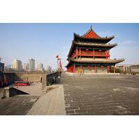 Full-Day Private Tour of Terra-cotta Warriors and City Wall from Xi\'an