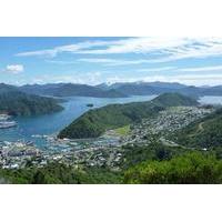 Full-Day Marlborough Scenic and Wine Tour from Picton