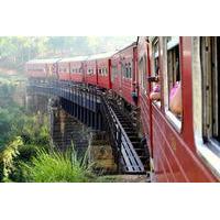 Full-Day Private Rail Tour from Colombo to Kandy