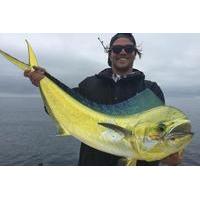 Full Day Private Fishing Charter from Dana Point