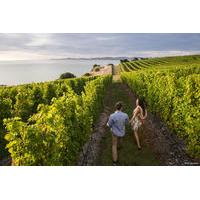 Full-Day Taste the Wines of Marlborough Tour