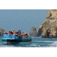 Full-Day Paracas Reserve and Ballestas Islands from Lima