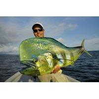 Full-Day Fishing Experience from Salvador