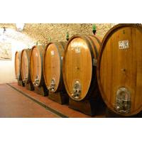 full day wine tour from bologna