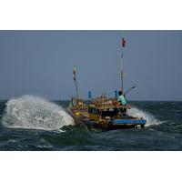 Full-day Offshore Fishing in Hoi An from Da Nang City