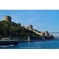 Full-Day Istanbul Tour with Bosphorus Cruise, Spice Bazaar, and Shopping