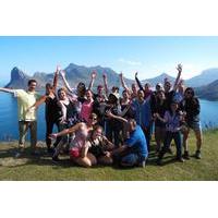 full day cape point cape peninsula sightseeing tour from cape town